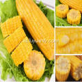 jagung manis segar organik